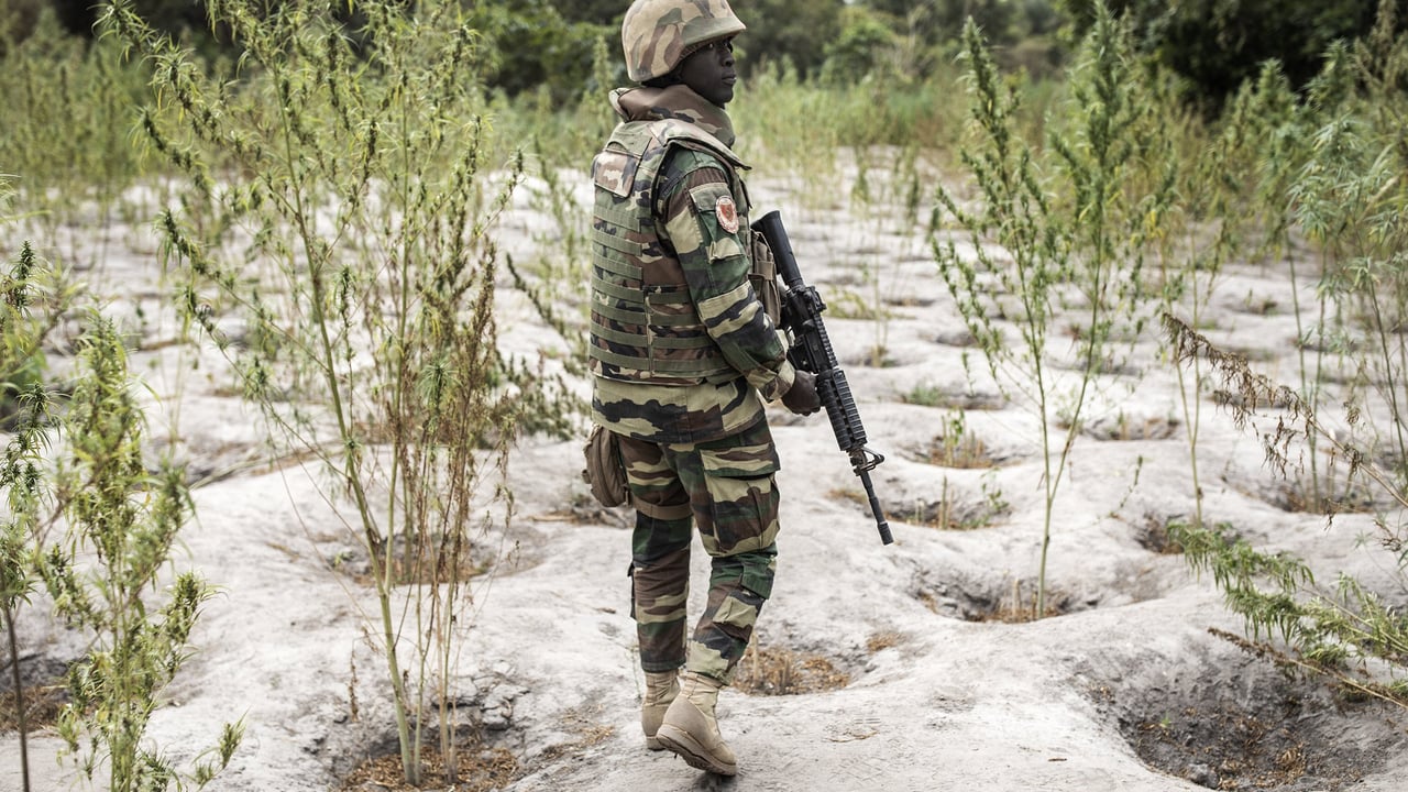 Conflit en Casamance : un militaire sénégalais toujours aux mains du MFDC