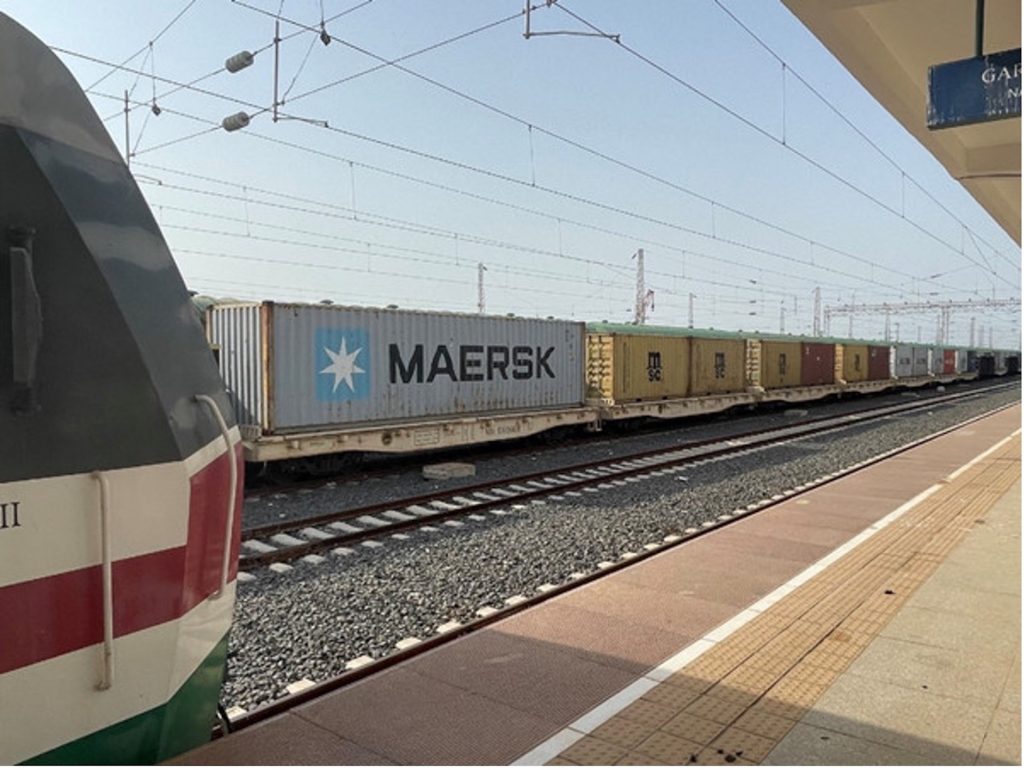  &copy; Wagons de fret à la gare de Nagad à Djibouti (Photo : People.cn)