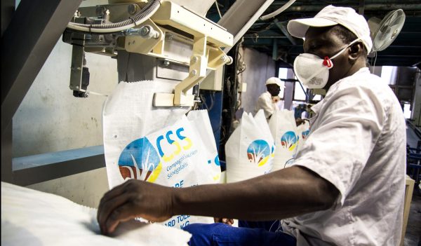 La Compagnie sucrière sénégalaise se fait discrète Jeune Afrique