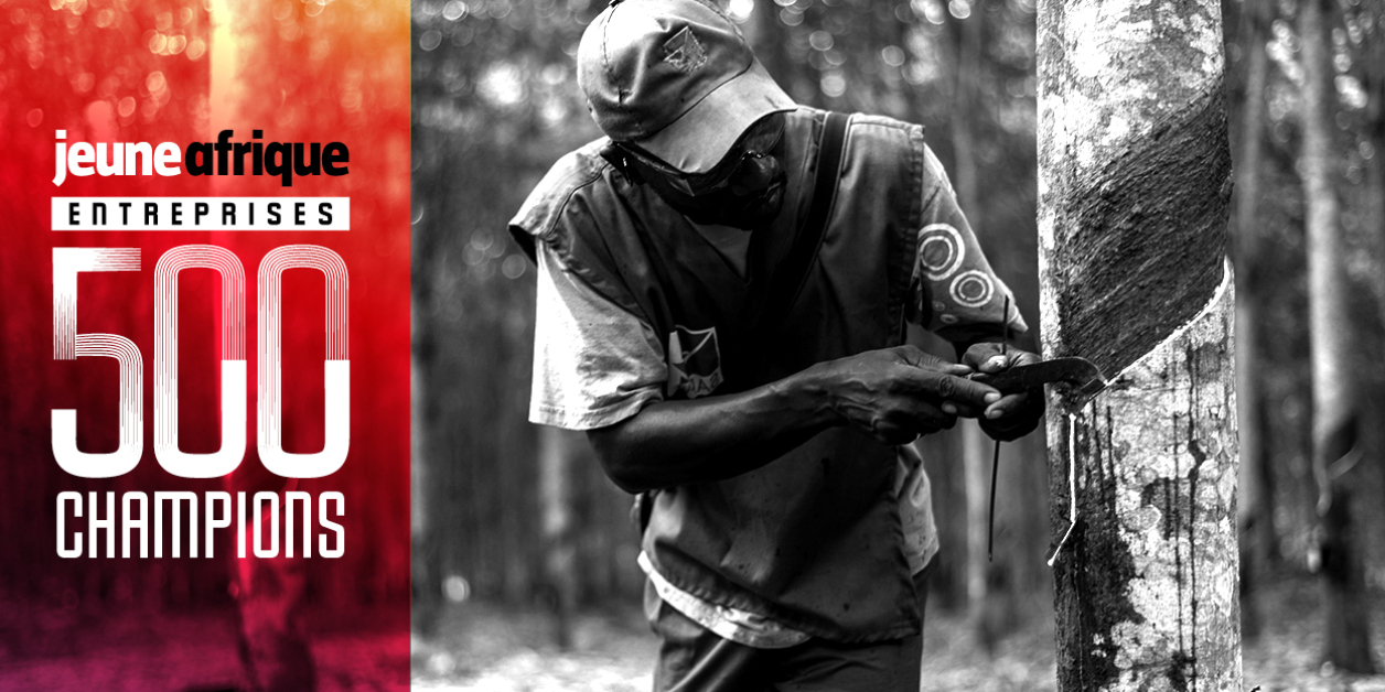 Le leader ivoirien de l’hévéa SAPH veut transformer l’essai – Jeune Afrique
