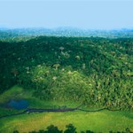 À la poursuite du Gabon vert