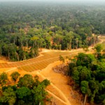 Agriculture africaine : enjeux et perspectives