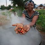 Olam vient d’ouvrir sa deuxième plus grosse usine d’huile de palme en Afrique. © Monusco/CC/Flickr