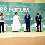 Au sommet de Kigali, le 20 mars 2018. © DR / union africaine