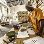 Unité de transformation du cacao dans l’usine de Choco Ivoire à San Pedro, dans le sud-ouest de la Côte d’Ivoire, en mars 2016. © Jacques Torregano pour JA