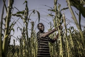 Sécheresse au Kenya, en 2020. © LUIS TATO/AFP.