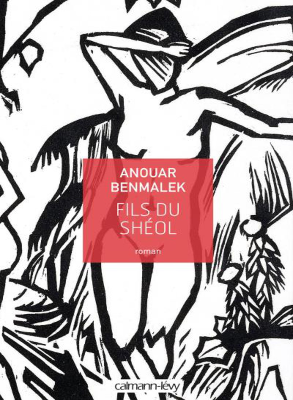 Fils du Shéol, d’Anouar Benmalek, éd. Calmann-Lévy, 418 pages, 20 euros, à paraître le 19 août.