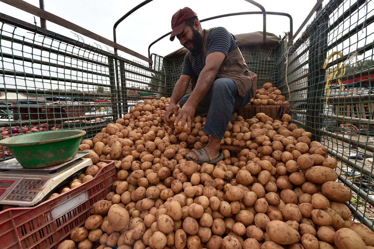 Un marché ouvert à Alger, le 15 septembre 2022. Le prix du kilo de pomme de terre est le principal indicateur du coût de la vie en Algérie. © AFP