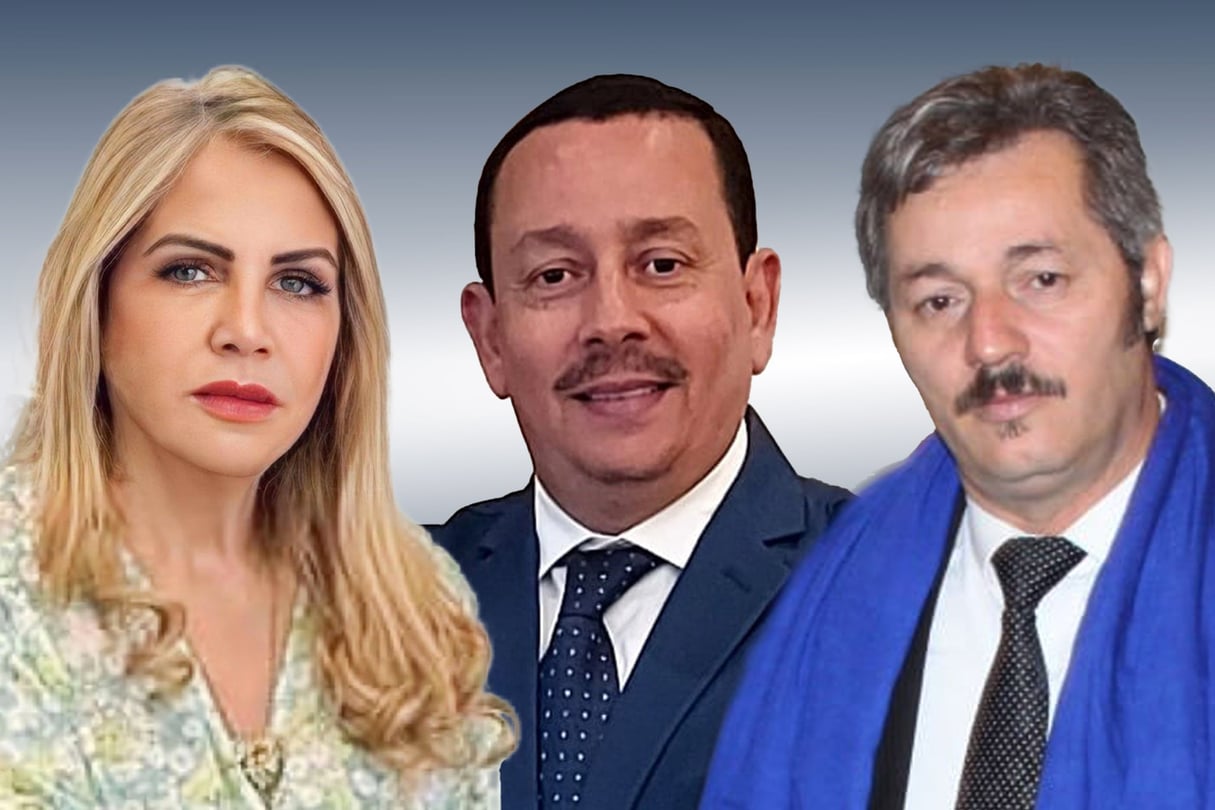 De gauche à droite : Saida Neghza, Belkacem Sahli et Abdelhakim Hamadi. © Montage JA ; Facebook