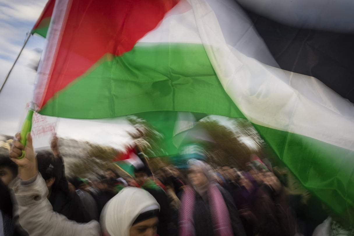 Une manifestante brandit un drapeau palestinien lors d’une manifestation en soutien à Gaza, à Paris, le 4 novembre 2023. © Pascal Sonnet/Hans Lucas/AFP