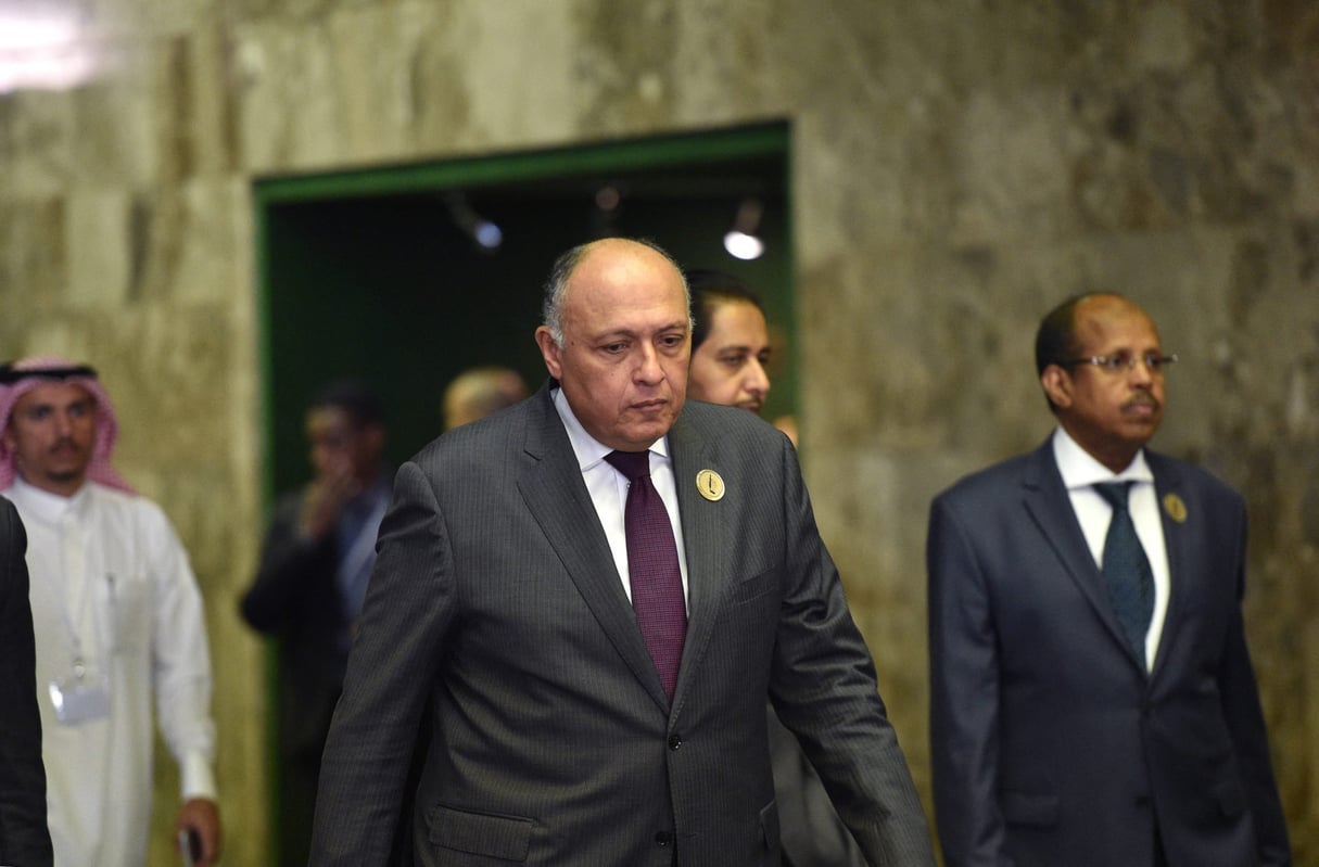 Le ministre égyptien des Affaires étrangères, Sameh Shoukry (au c.), à Riyadh, en décembre 2018. © FAYEZ NURELDINE / AFP.