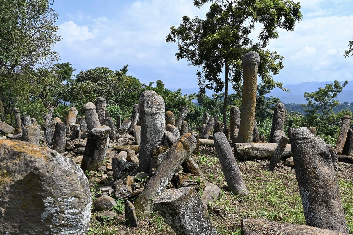 Stèles aux formes phalliques, dans les contreforts de la vallée du Rift, dans le sud de l’Éthiopie. © A. Pierre – Mission Abaya 2023