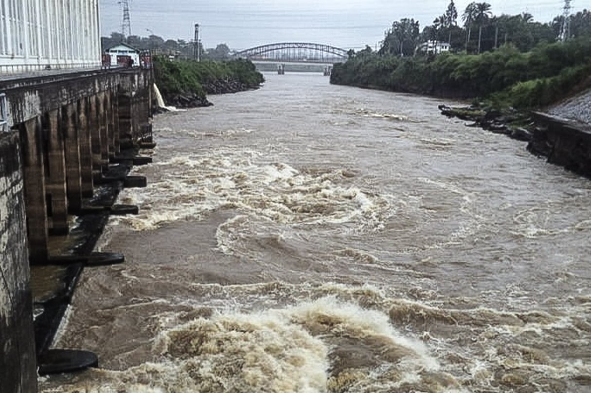 le fleuve Sanaga à Songmbengue, près d’Edéa, ou le groupe Fortescue devait développer des projets hydroélectriques le fleuve Sanaga à Songmbengue, près d’Edéa, ou le groupe Fortescue devait développer des projets hydroélectriques
© DR