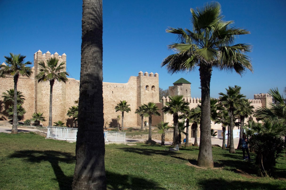 Palmiers à l’entrée de l’ancienne médina de Rabat, le 17 avril 2017. © David Cordova / NurPhoto via AFP