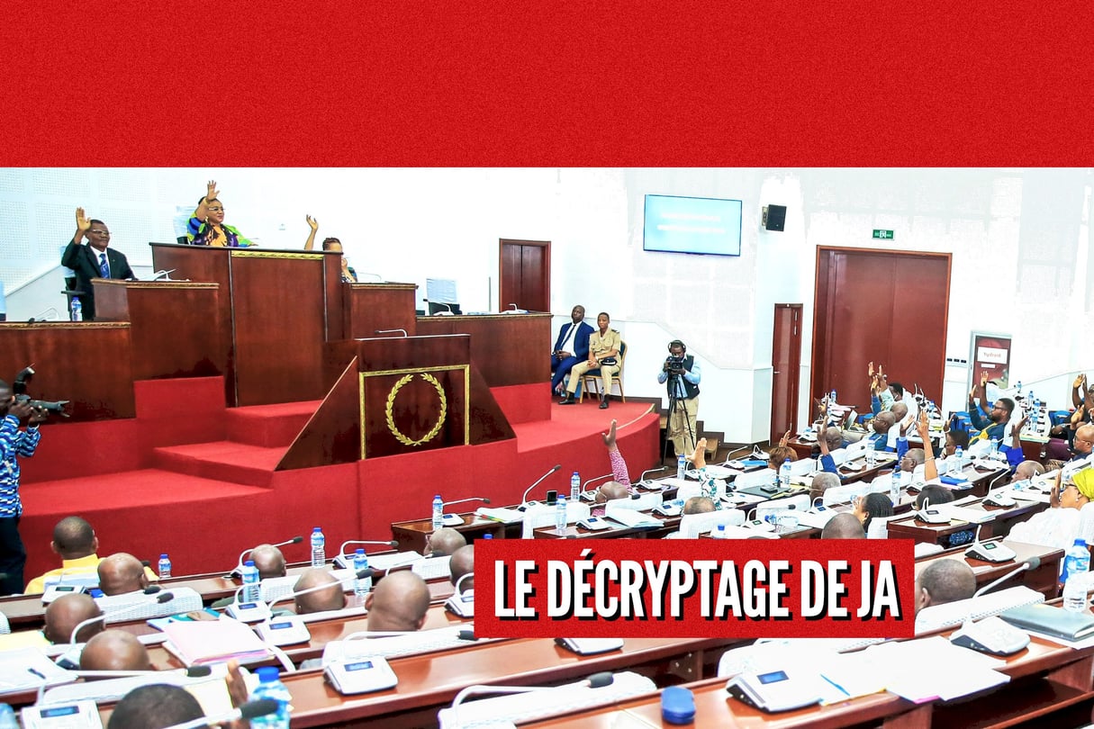 L'Assemblée nationale togolaise. &copy; MONTAGE JA : ASSEMBLEE NATIONALE TOGOLAISE