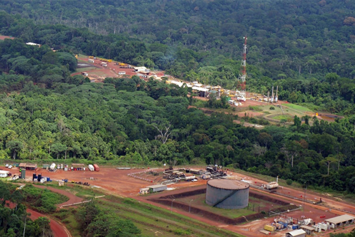 Un champs pétrolier au Gabon opéré par Maurel et Prom© Maurel et Prom Un champs pétrolier au Gabon opéré par Maurel et Prom
© Maurel et Prom
