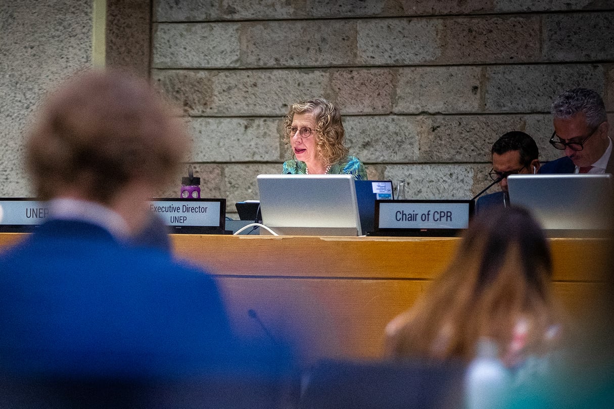 Inger Andersen, la directrice exécutive du Programme des Nations unies pour l’environnement au Kenya, le 12 septembre 2024. © UNEP