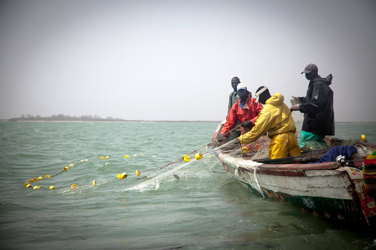 À la suite de la publication de la liste des bateaux autorisés à pêcher, la Commission européenne a délivré, le 28 mai, un « carton jaune » au Sénégal, remettant en question « la fiabilité du système de traçabilité » des produits. © Gordon Welters/LAIF-REA