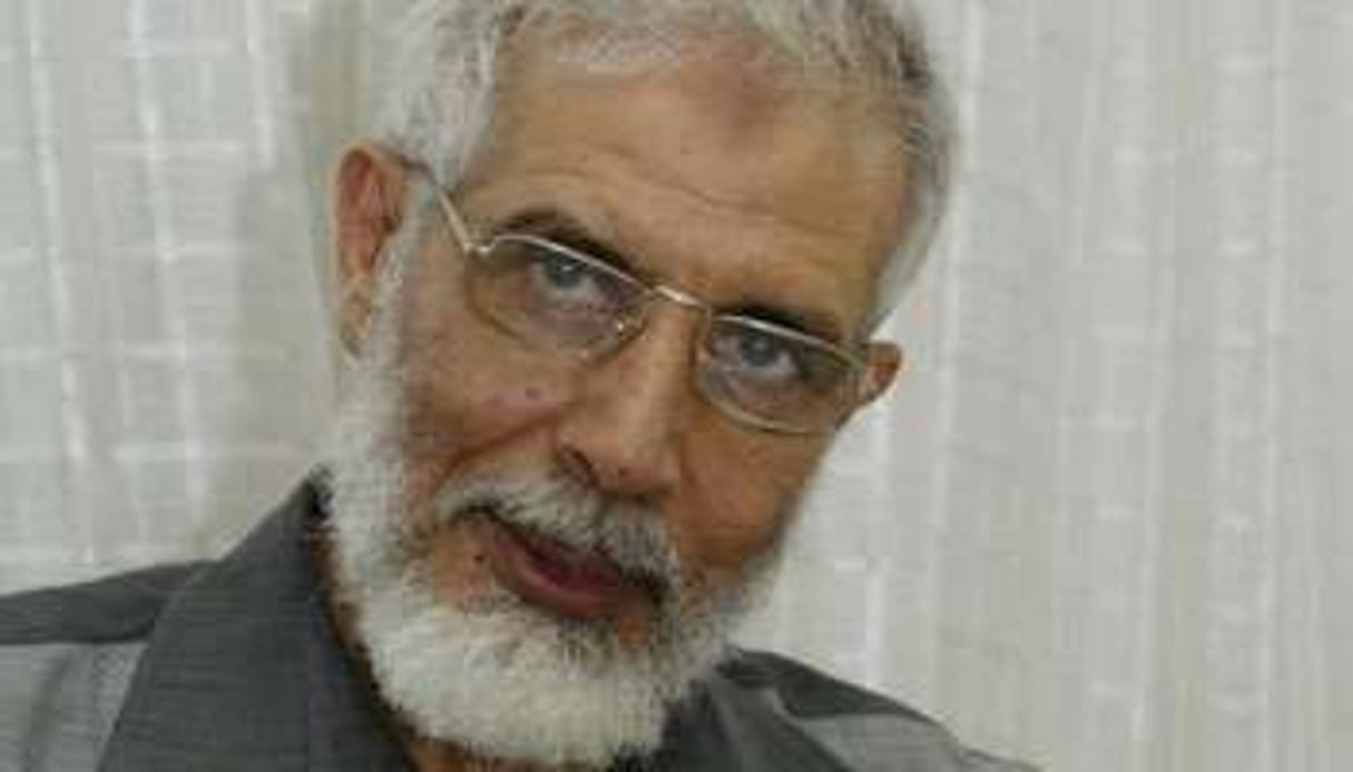 Mahmoud Ezzat, adjoint du Guide des frères musulmans, a été arrêté lundi 8 février © AFP