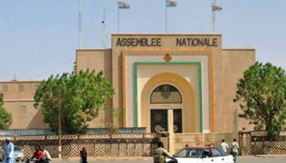 L’assemblée nationale à Niamey © AFP