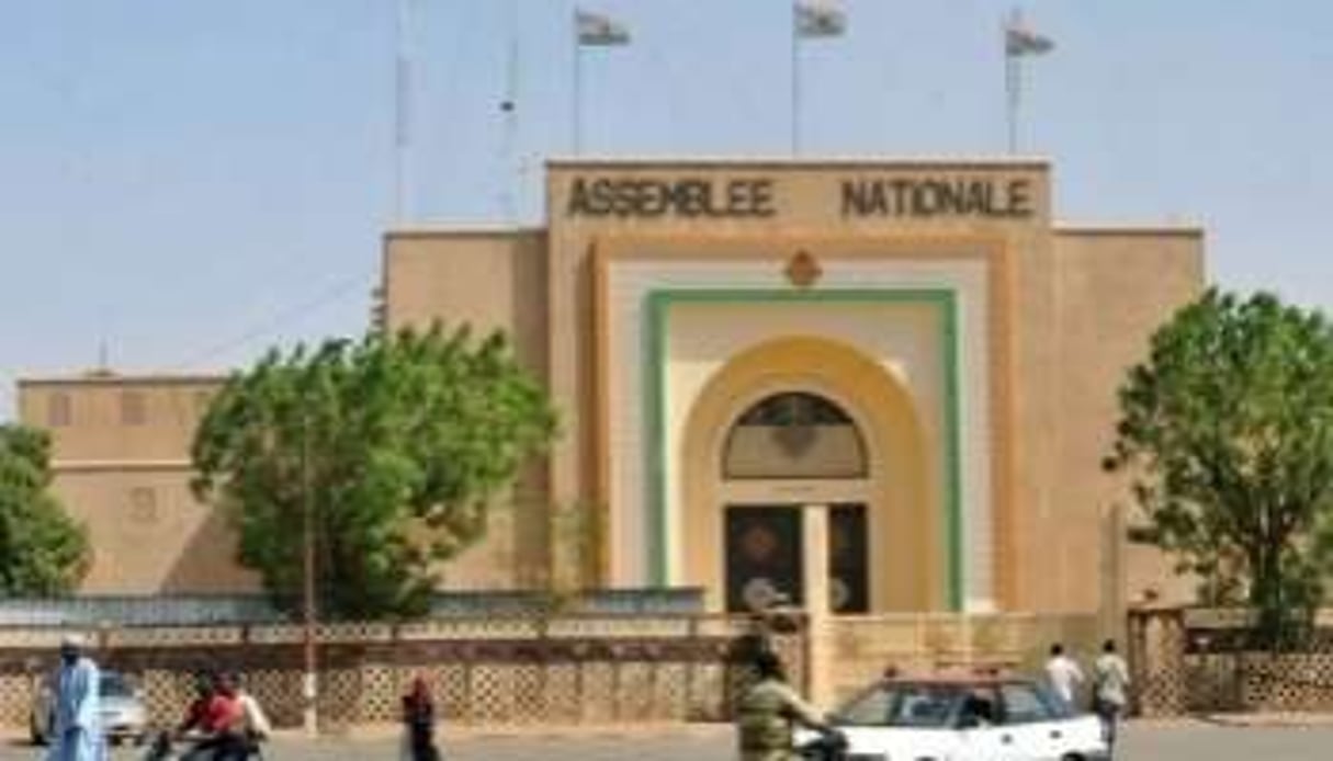 L’assemblée nationale nigérienne à Niamey, le 22 février © AFP