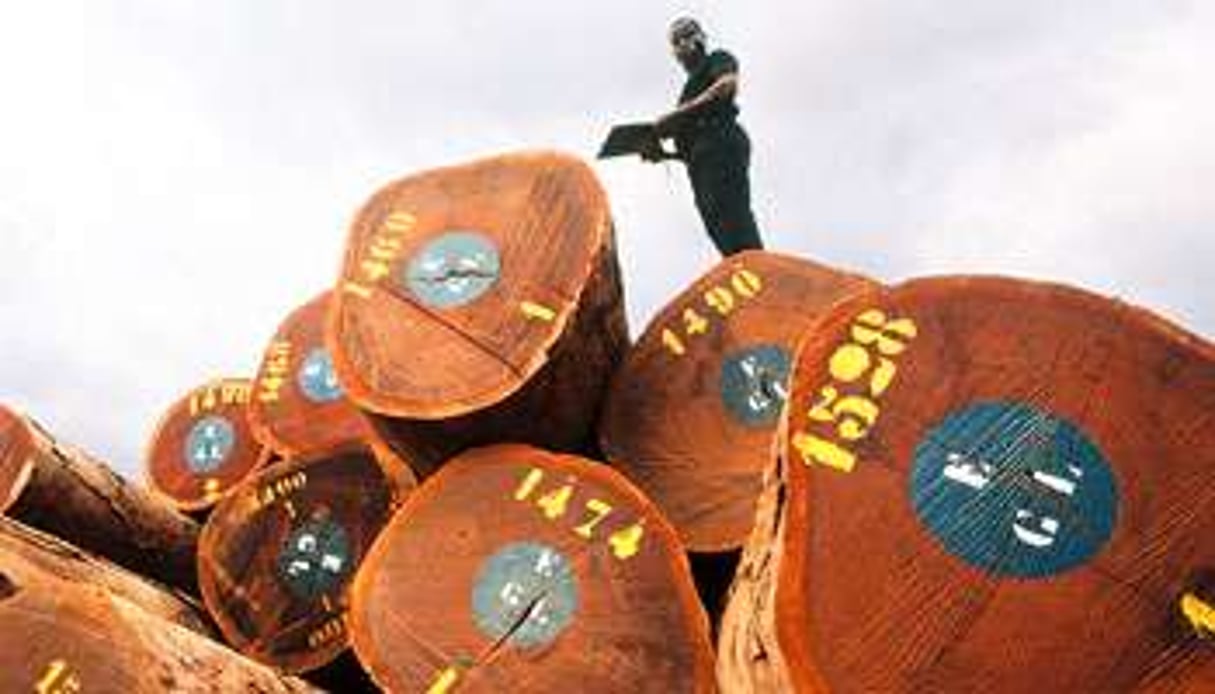 Au port d’Owendo, depuis le 1er janvier, les billes de bois s’entassent © AGE Fotostock