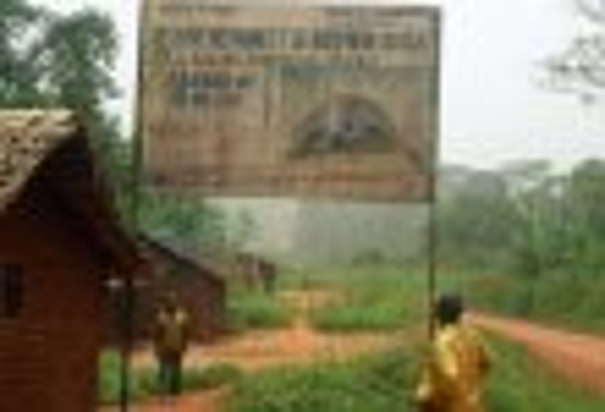Cameroun: braconnage et pauvreté vont de pair dans la réserve du Dja © AFP
