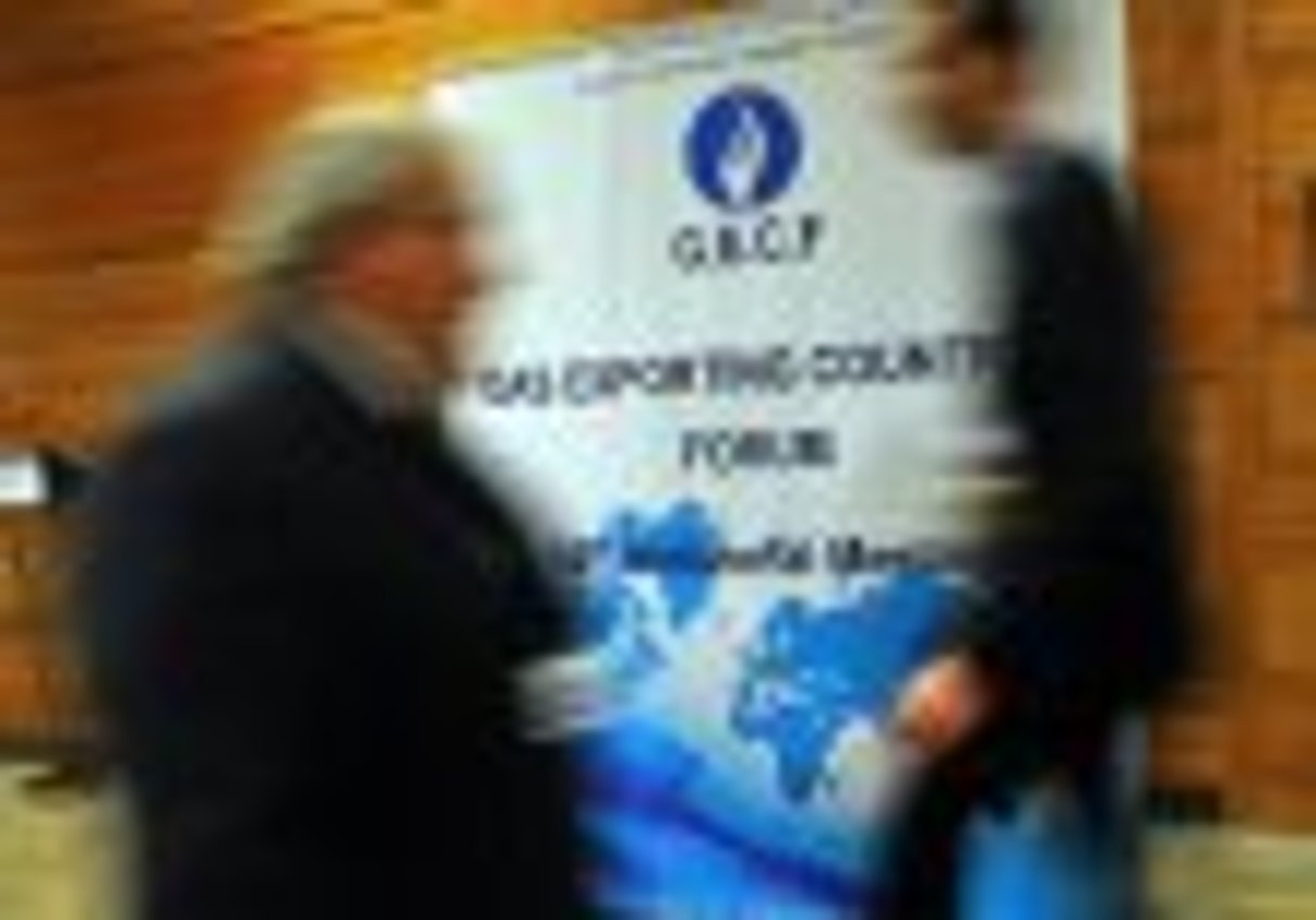 Forum des pays exportateurs de gaz en Algérie, à la recherche du prix « juste » © AFP