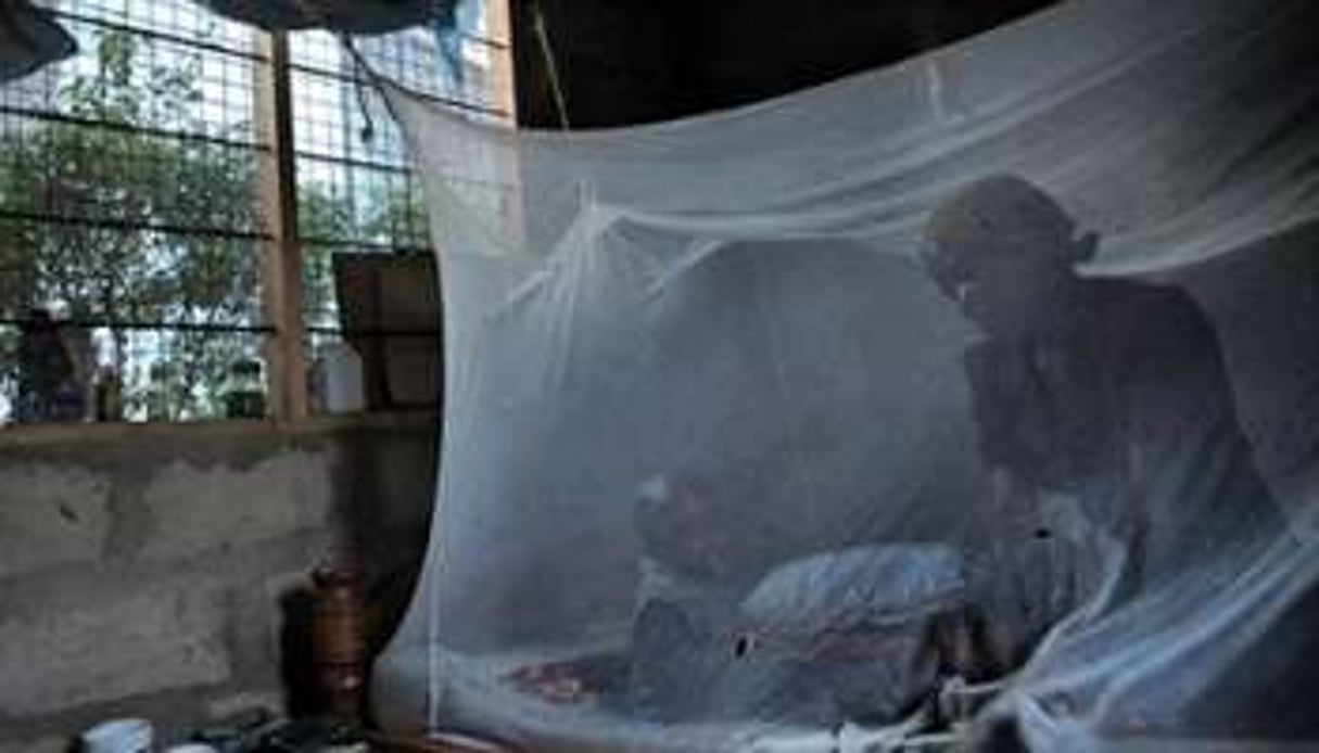 Une mère et son enfant sous une moustiquaire en Tanzanie, le 30 octobre 2009. © AFP