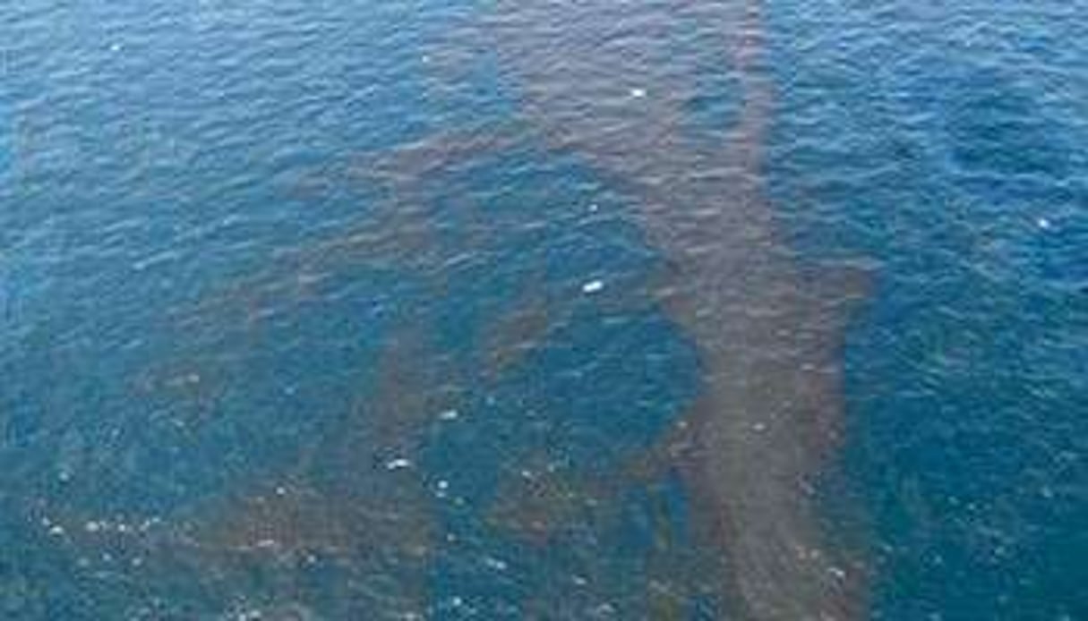 La nappe de pétrole a atteint les côtes américaines, jeudi 29 avril. © AFP