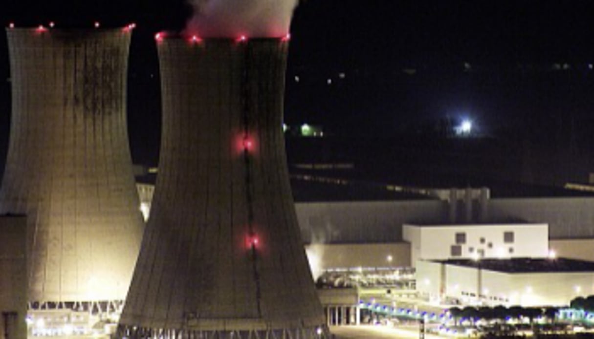 La centrale nucléaire du Tricastin, dans le sud de la France. © AFP