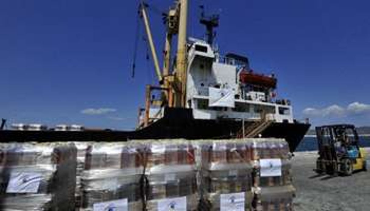 Chargement de marchandises sur le cargo libyen Amalthea, dans le port de Lavrio en Grèce, le 9 juil © AFP