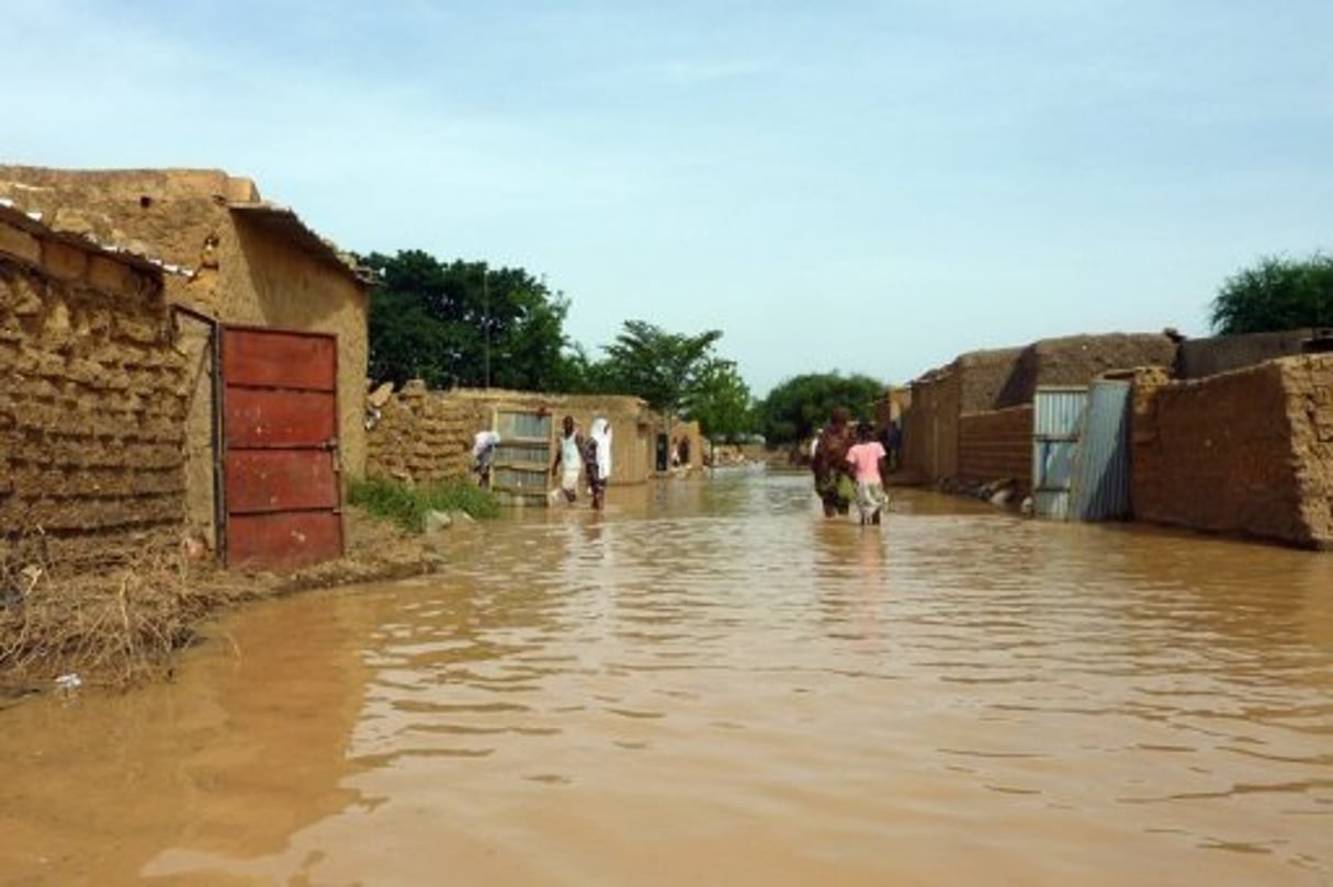 Le fleuve Niger connaît une crue sans précédent depuis 1929 © AFP