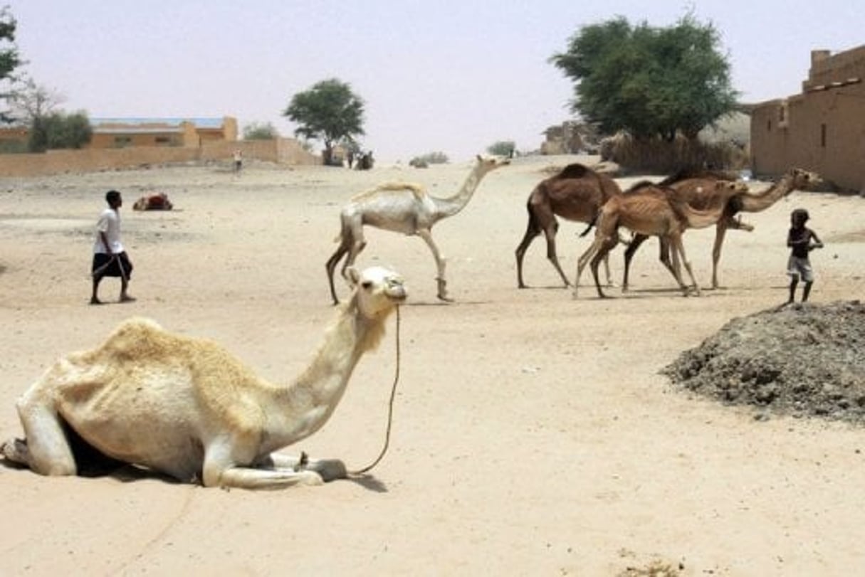 Malgré les otages, les pays du Sahel défendent leur tourisme © AFP