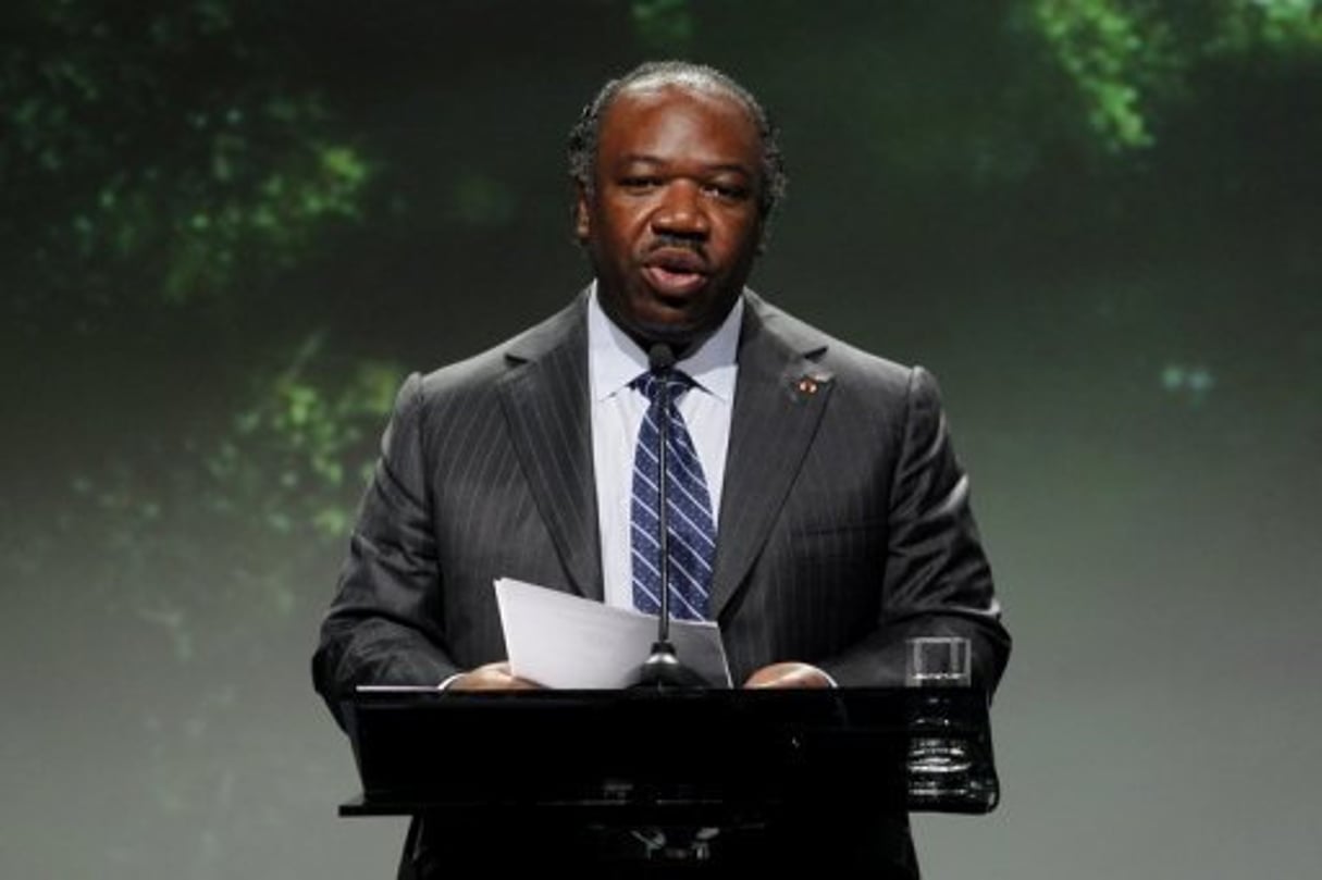 Un an au pouvoir d’Ali Bongo: Gabon « émergent » ou « énervant, selon les camps © AFP