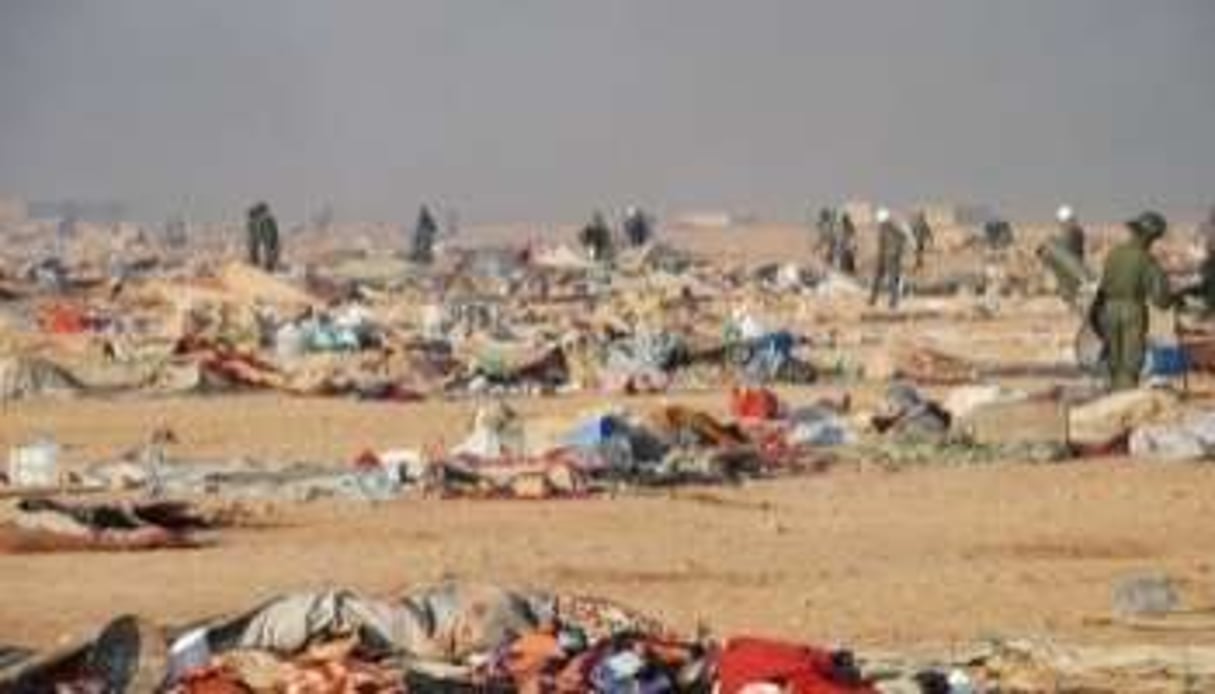 Ce qui restait du camp de réfugiés sahraouis après son démantèlement, le 8 novembre. © AFP