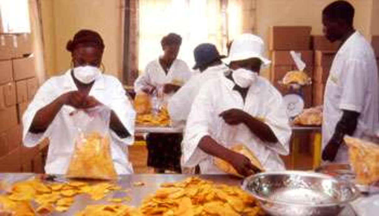 La Côte d’Ivoire est désormais le 3e fournisseurs de mangues du marché européen. © Vincent Fournier/J.A.