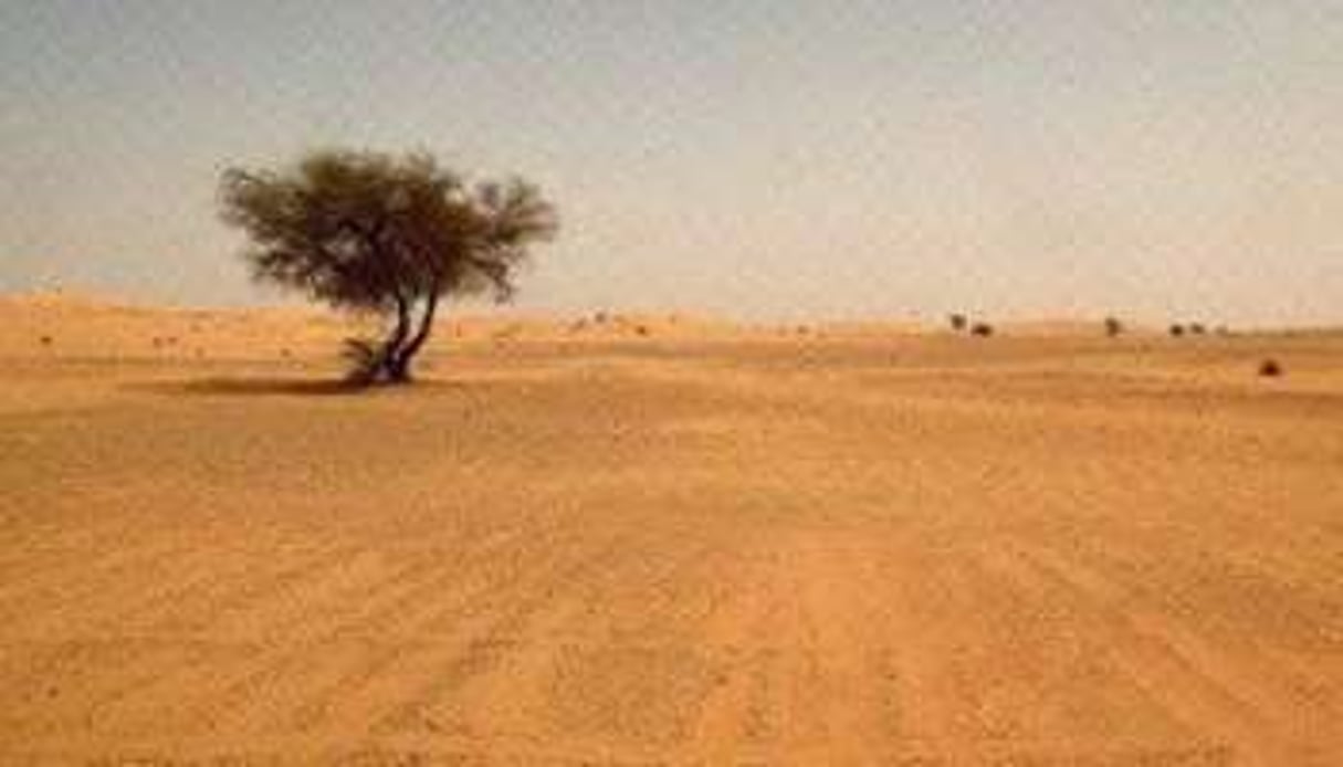 Dans le désert du Sahara. © AFP