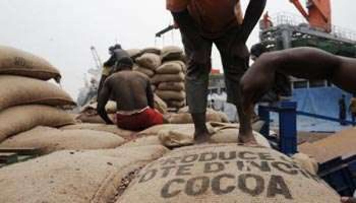 Des ouvriers vident des sacs de fèves de cacao ivoirien, le 18 janvier 2011 dans le port d’Abidjan. © AFP