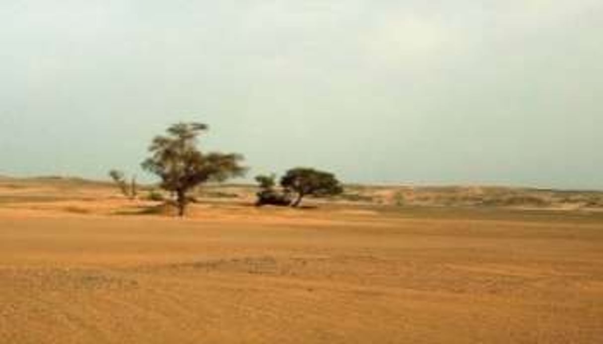 Le désert algérien près de Djanet. © AFP