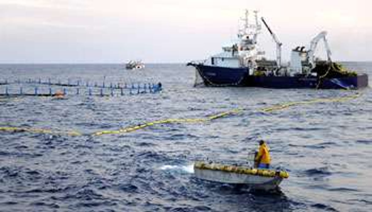 En méditerranée comme ici aux Îles Baléares, les permis de pêche ont baissé de 5 % en 2011. © Damourette/Sipa