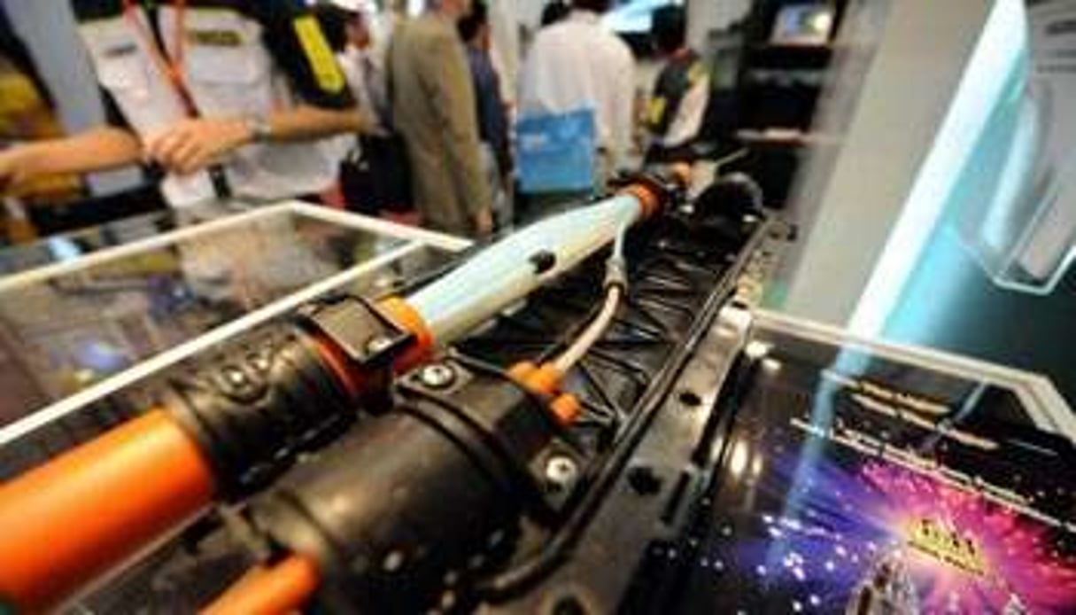 Un faisceau de fibres optiques, lors d’une exposition sur les télécommunications à Singapour en 2 © AFP