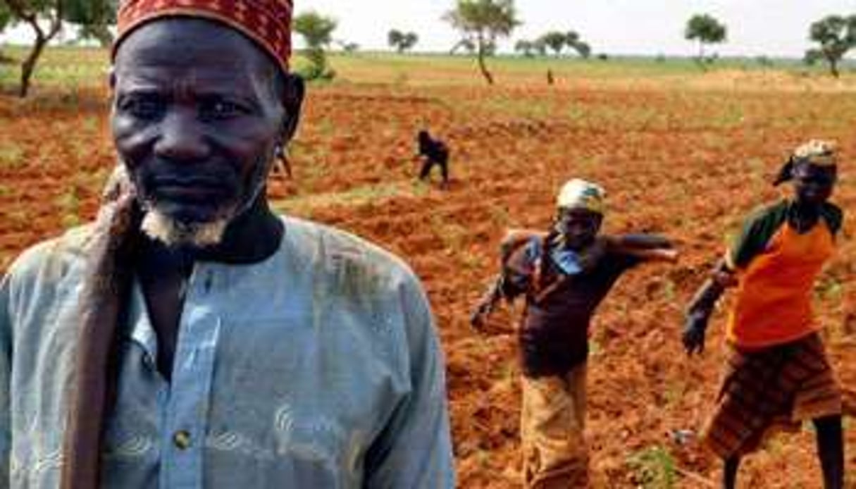 La sécheresse sévit une année sur trois et menace les Nigériens de famine. © Finbarr O’Reilly/Reuters