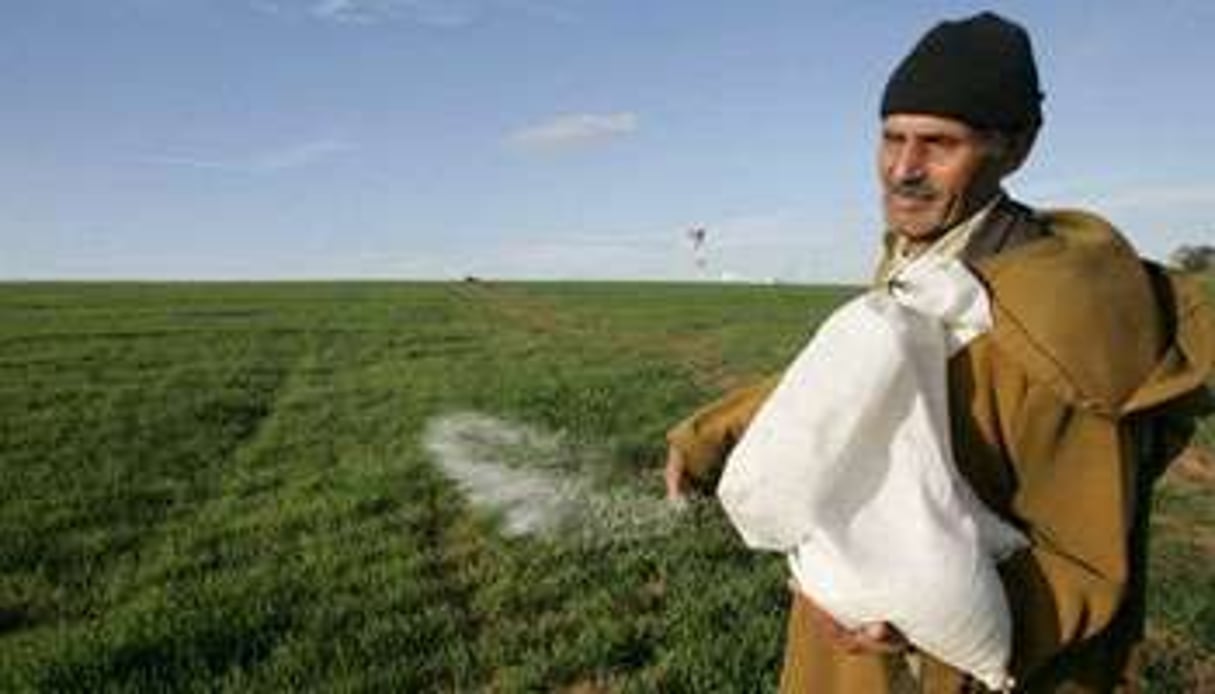 L’État marocain s’est engagé à élaborer une Charte nationale pour l’environnement. © AFP