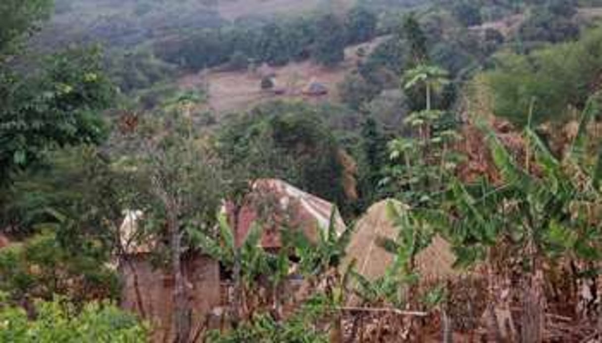 Le village de Tchiakoullé où est née la victime présumée de Dominique Strauss Kahn. © AFP