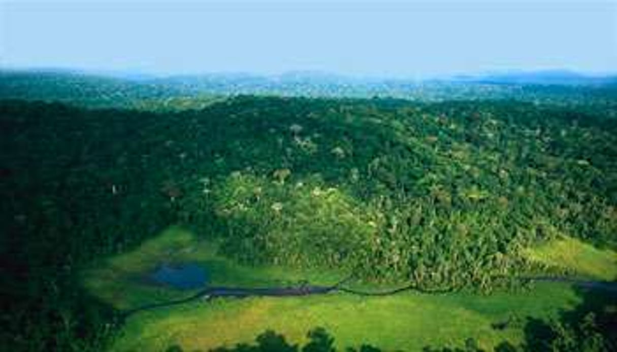 En 2002, Omar Bongo Ondimba disait que le Gabon serait « La Mecque de la nature ». © Michael Nichols/National Geographic Stock