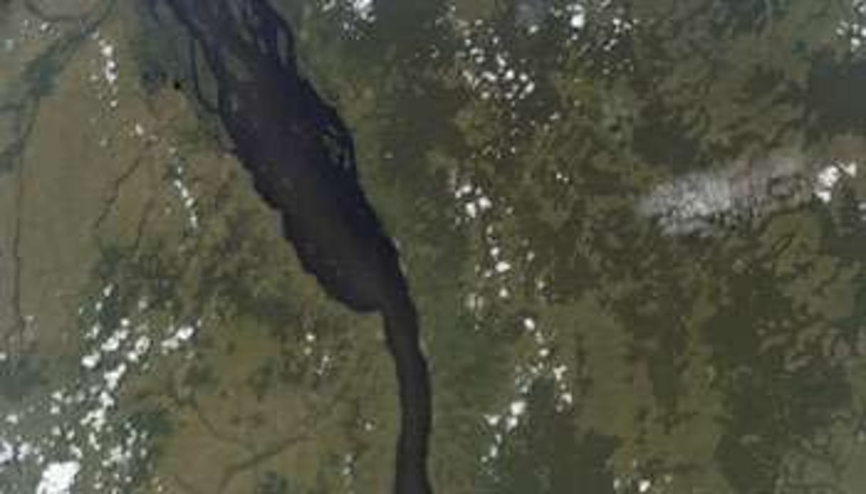 Image satellite de la forêt du Bassin du Congo. © D.R.