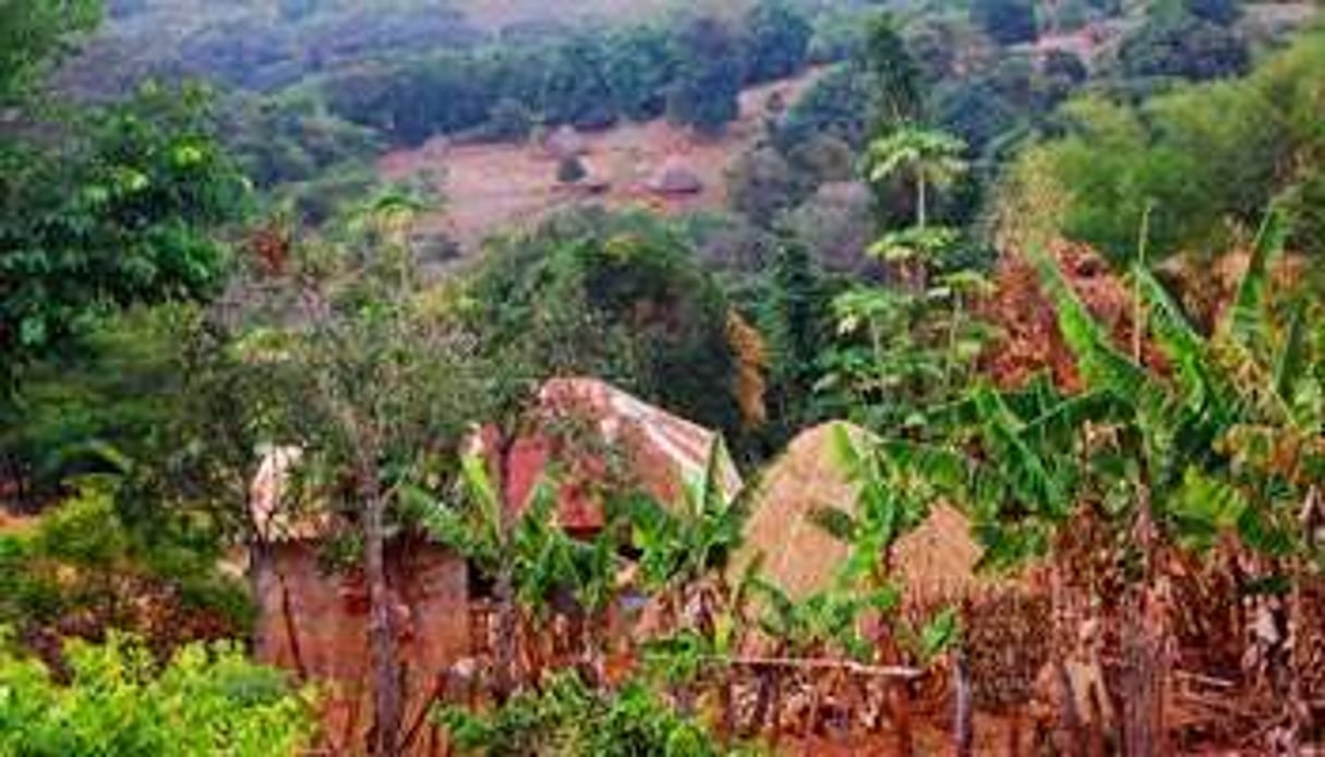 Tchiakoullé, le village natal de Nafissatou Diallo, sur les hauteurs du Fouta-Djalon en Guinée. © Cellou Diallo/AFP