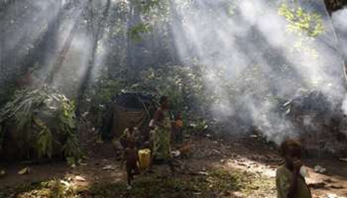 Les pygmées travaillent dans les champs, parfois pour un litre de vin de palme. © SIPA