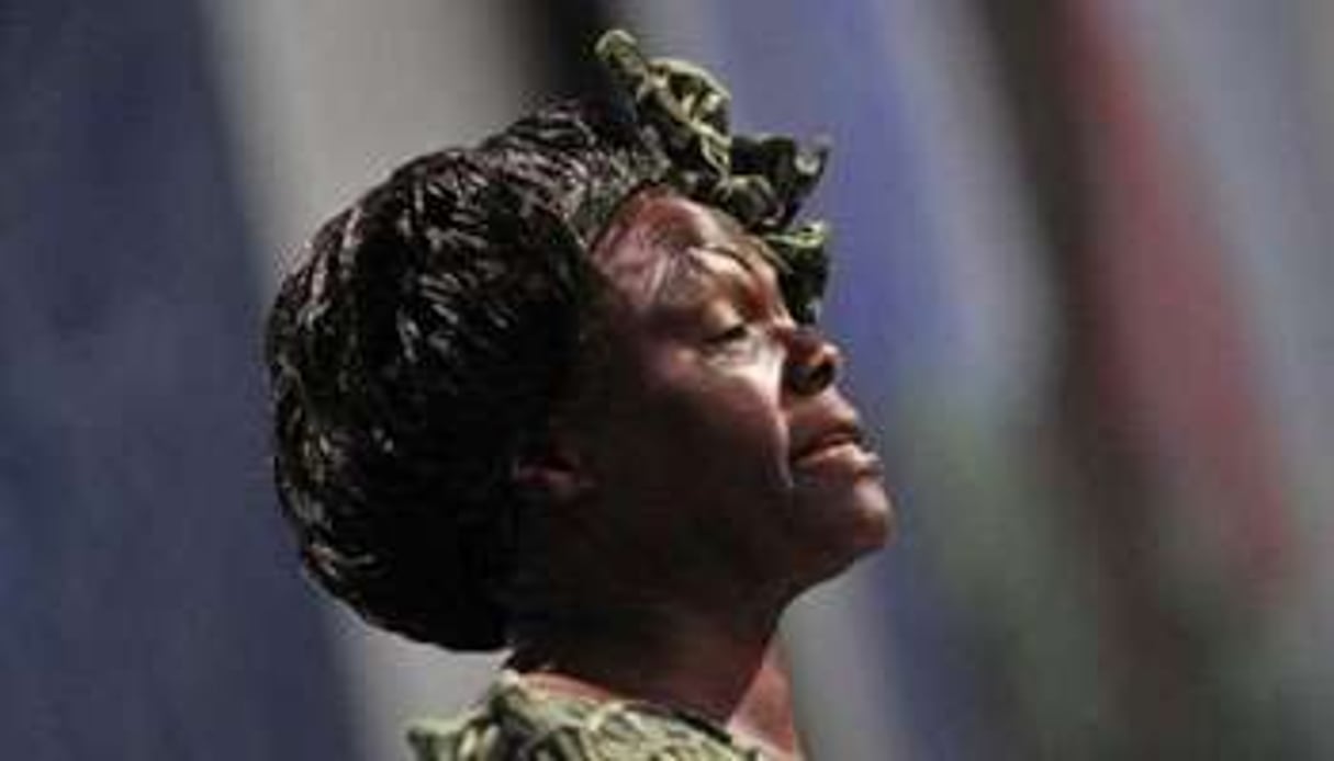 Wangari Maathai, une « réelle héroïne africaine » selon Desmond Tutu. © AFP